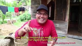 Haba bang joni kapluk,artis film eumpang breuh (status whatsapp) Viral saat ini
