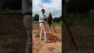  Quem V Close No V Corre 