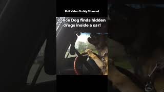Police K9 Dog finds hidden drugs inside a car!