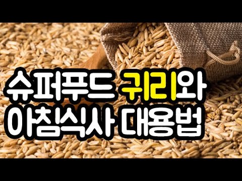 슈퍼푸드 귀리의 효능과 아침식사 대용법