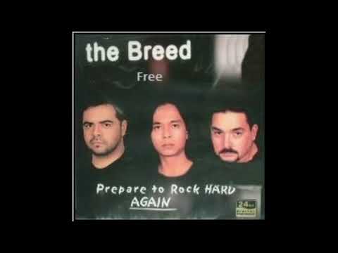 The Breed - Black Mercedes Benz (acoustic)