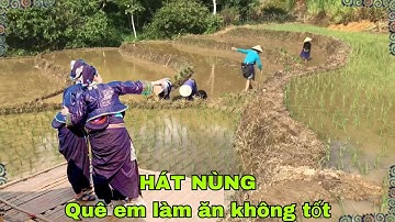 Hát nùng quê em làm ăn khó khăn