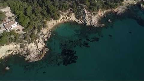 Neural network can detect and segment underwater algae in this drone footage