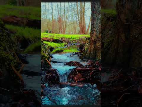 أنا الفقير إلى رب البريات