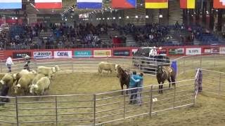 2016-10-29 MASTER RANCH SORTING EQUITA LYON