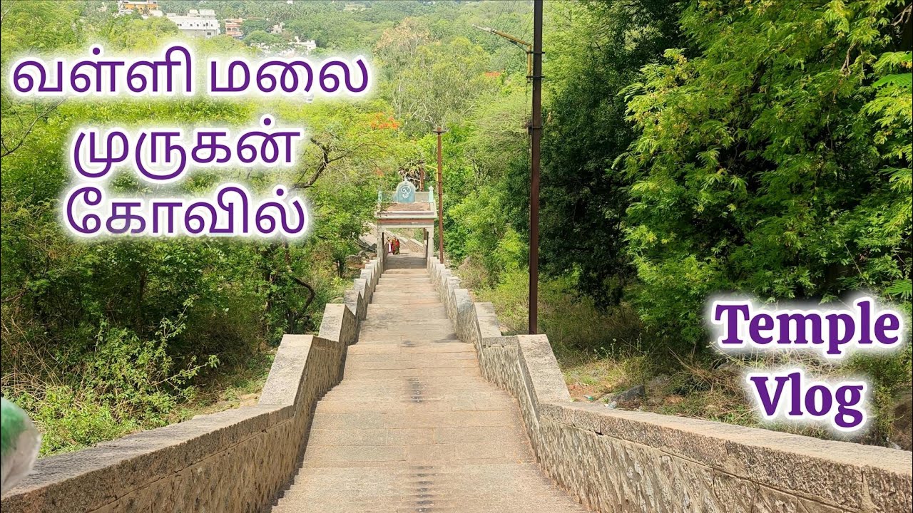 Vallimalai Murugan Temple Vlog – Peace, Devotion & Divine Vibes✨✨#video #youtube #vlog #travel