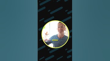 Importance of the split step