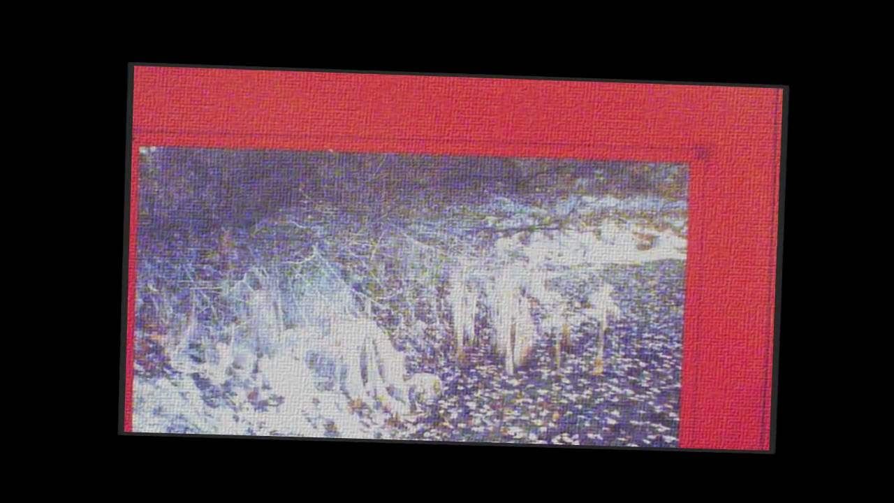 Vietnam Veterans Run Baby Run 1986 Hd Youtube