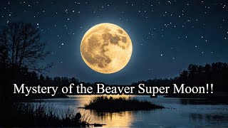 Unlock Hidden Manifestation Power: Beaver Full Moon Ritual for Abundance & Transformation