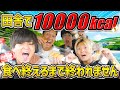 【大食い】10000kcalドライブは田舎でやっても達成できるのか？高知の日高村で検証してみたら面白すぎましたwww