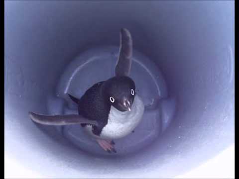 Kris Keller- Microscopic Penguins