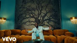 Burna Boy - Give me love(Official Video)