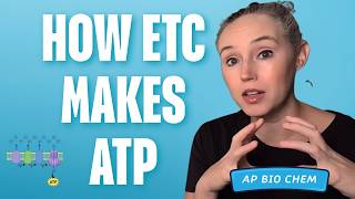 How Do Electrons Produce ATP in Cellular Respiration? | AP Biology