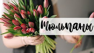 Тюльпаны 🌷 Как Выбрать и Сохранить 🌷