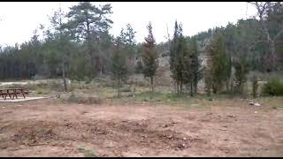 Nezahat Erbaş -Parlayan Güneş