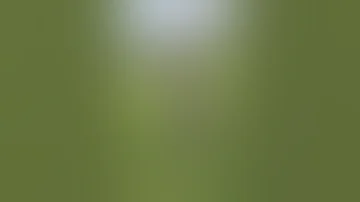 پارک میں خوبصورت پنجابی گرم لڑکیاں پارک لڑکیاں پاکستانی لڑکیاں Shorts Shortsfeed Youtubeshorts 