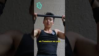 6 day CALISTHENICS split! #shorts