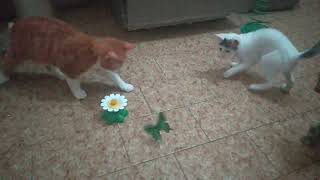 Butterfly game for cats part 1⭐⭐⭐⭐⭐ screenshot 3