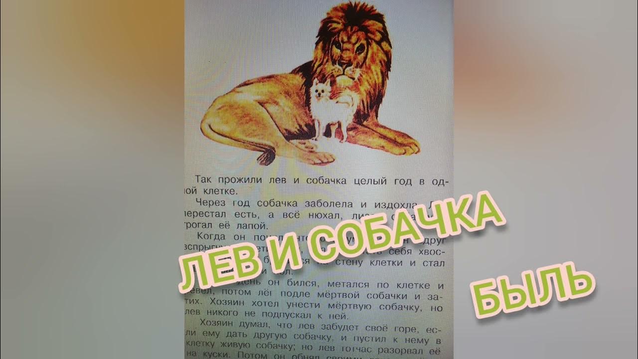 Лев энциклопедия для детей. Рассказ мой лев. Мой лев заходер. Рассказ мой лев. Заходер книги.