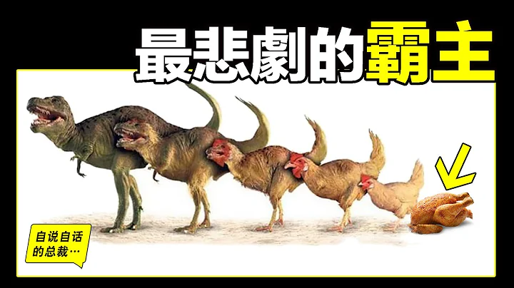 雞：為什麼每天都下蛋？為什麼看到雞蛋被拿走也不生氣？這是來自恐龍時代的遠古BUG，雞才是地球真正的霸主，它們正在悄悄的標記地球……|自說自話的總裁 - 天天要聞