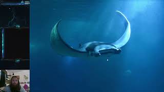 Fish Friday #199 - Devil Fish (Giant Devil Ray)