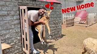 Hum Neloo Ko New Mini Zoo Main Le K Agaiy