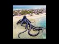 A giant octopus terrorizing the beach