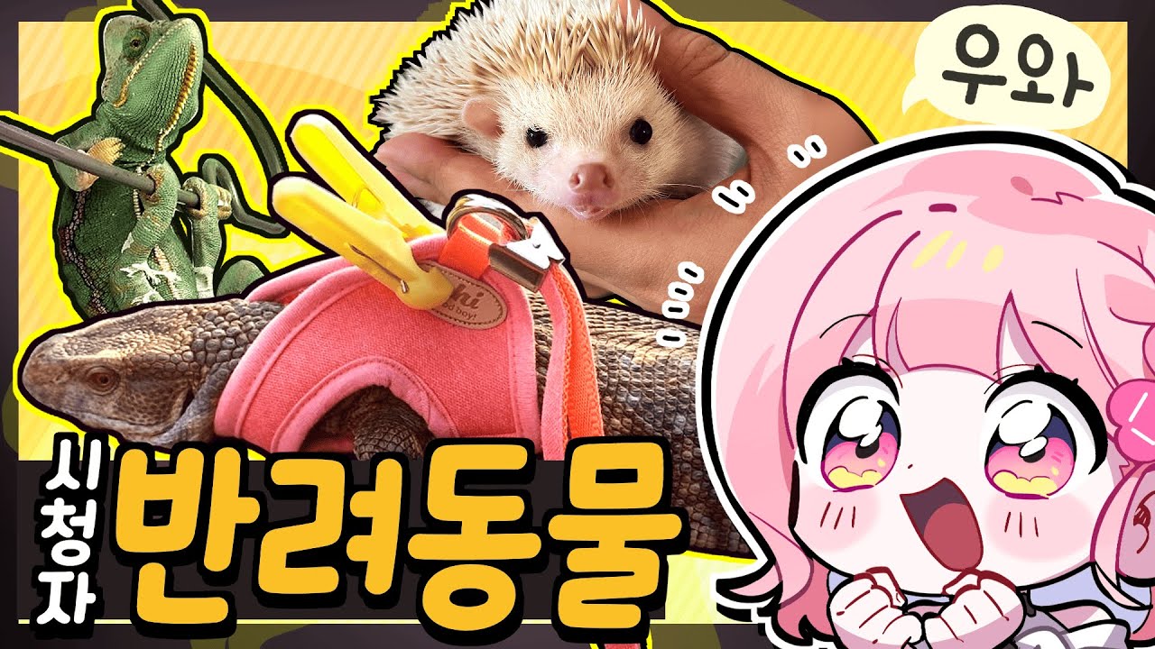 시청자들의 신기한 동물 자랑 ✨ '교란종'까지 등장?!