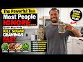 The Powerful Tea Most People Ignore…( Naturally Kill Sugar Cravings FAST ) 