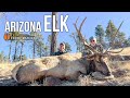 Join Uncle Larry's Final Elk Hunt & Win Big! 🦌