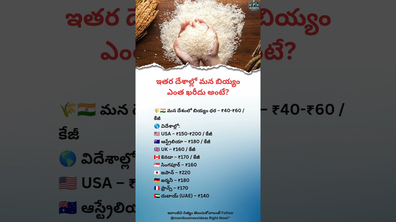 Rice Price in Foreign Countries Compared to India – Export Business Facts