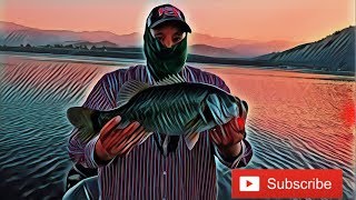Blade Runner Duh Winter Bass Spoon Fishing screenshot 4