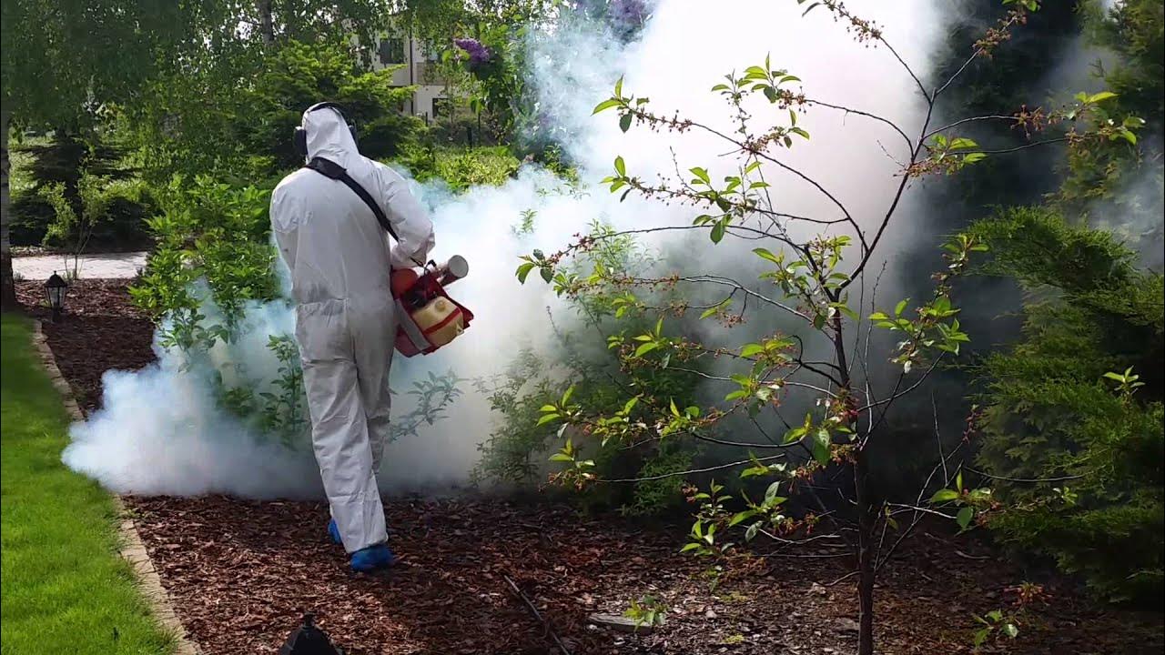Обработка дымом. Автомойка сухой туман. Дезинсекция от тараканов холодным туманом. Дезинфектор клопов. Окуривание улья.