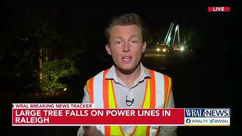 Power restored to nearly 1,000 homes after tree falls in Raleigh