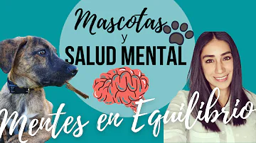 ¿Qué mascotas son mejores para la salud mental?