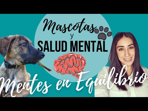 Video: La Salud Mental De Las Mascotas Mejora Con Un Poco Más De Atención