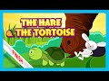 The hare and the tortoise story  bedtime story by kids hut  english stories for kids