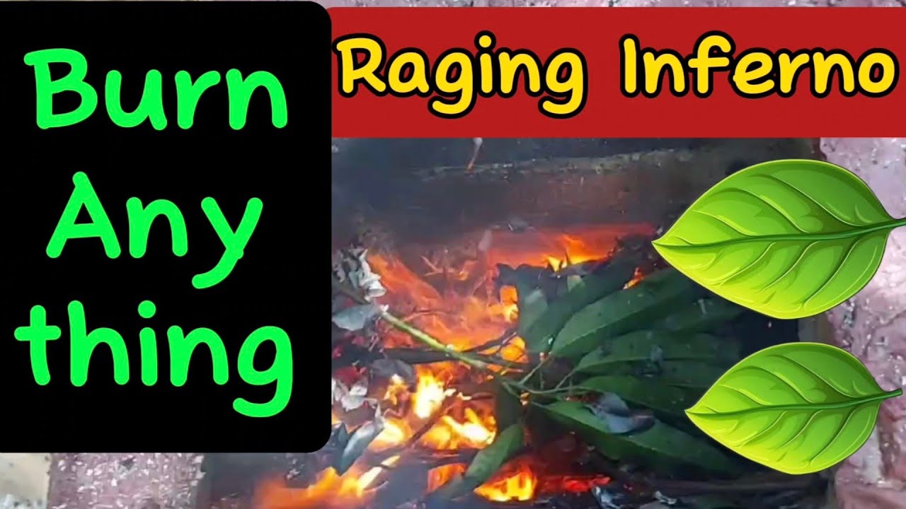 Raging Inferno. Burn wet leaves. - YouTube