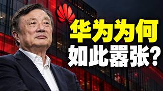 华为为何如此嚣张？｜任正非｜习近平｜孟晚舟