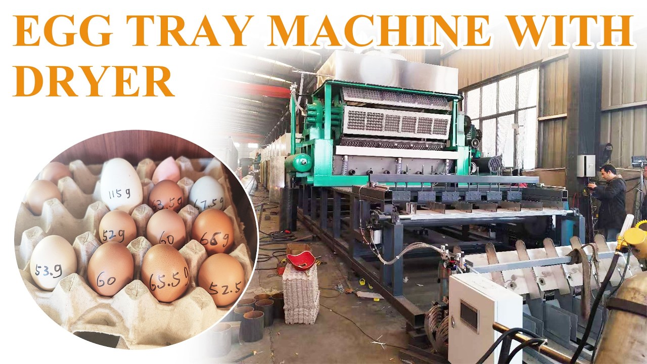 Automatic Egg Tray Production Line with Drying System | Efficient Pulp ...