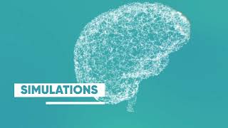 HBP Focus Area - Simulations