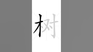 ✔ 🌳🌲Stroke order of Chinese character 树(shù) - tree| HSK handwriting elementary level - 209