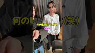 SixTONES official【ジェシー発案の神回!?】動物の鳴きまねクイズ！