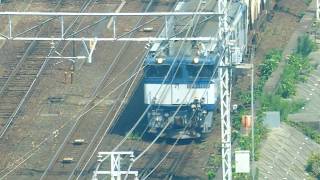 JR貨物 EF64-1033号機 貨物列車 名古屋駅付近を走行 愛知機関区 2019.8.24