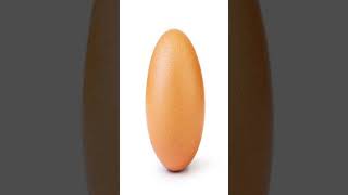 Make this egg the most commented-on post on imgflip Make this egg the most commented-on post on imgflip