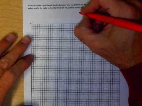 graphing turtle and snail