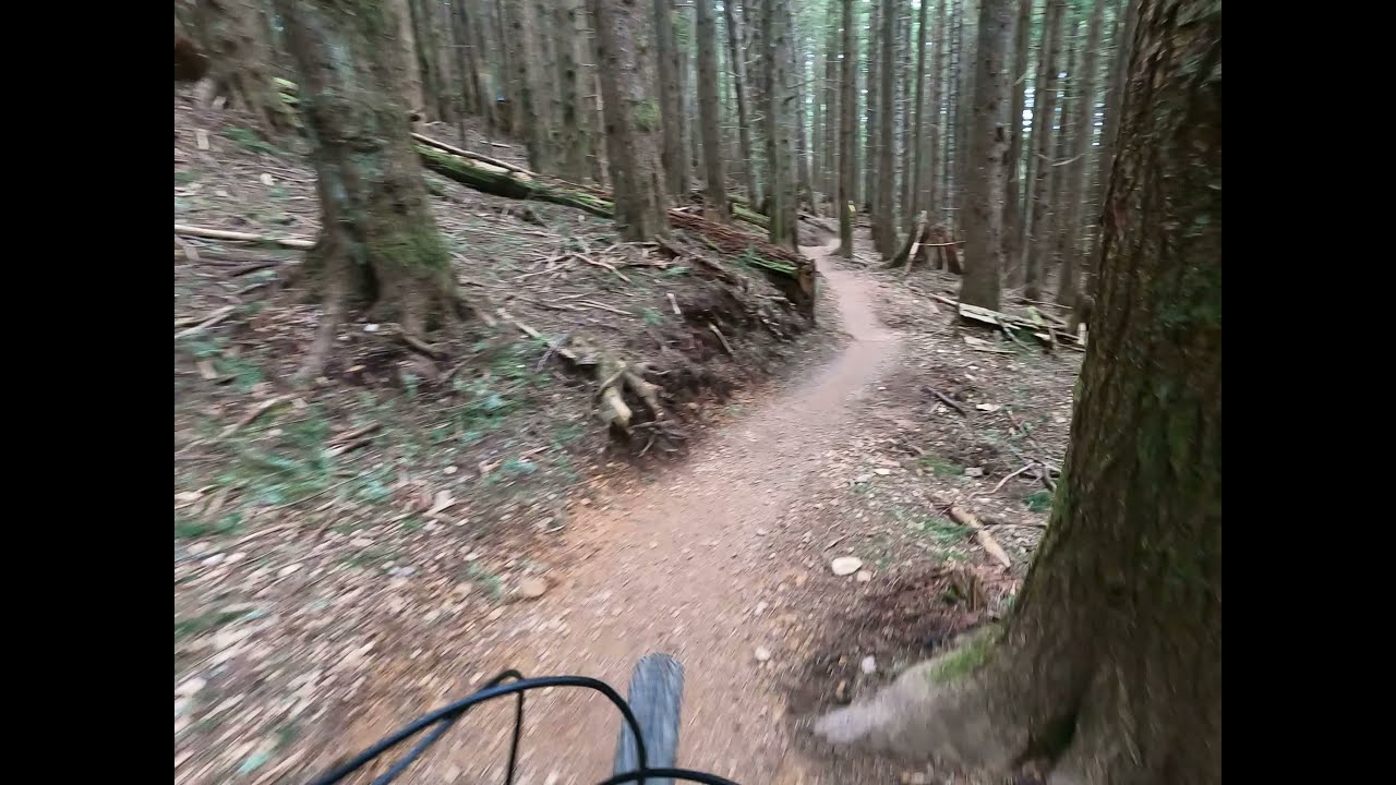 Tiger Mountain Downhill East Tiger Summit 4K