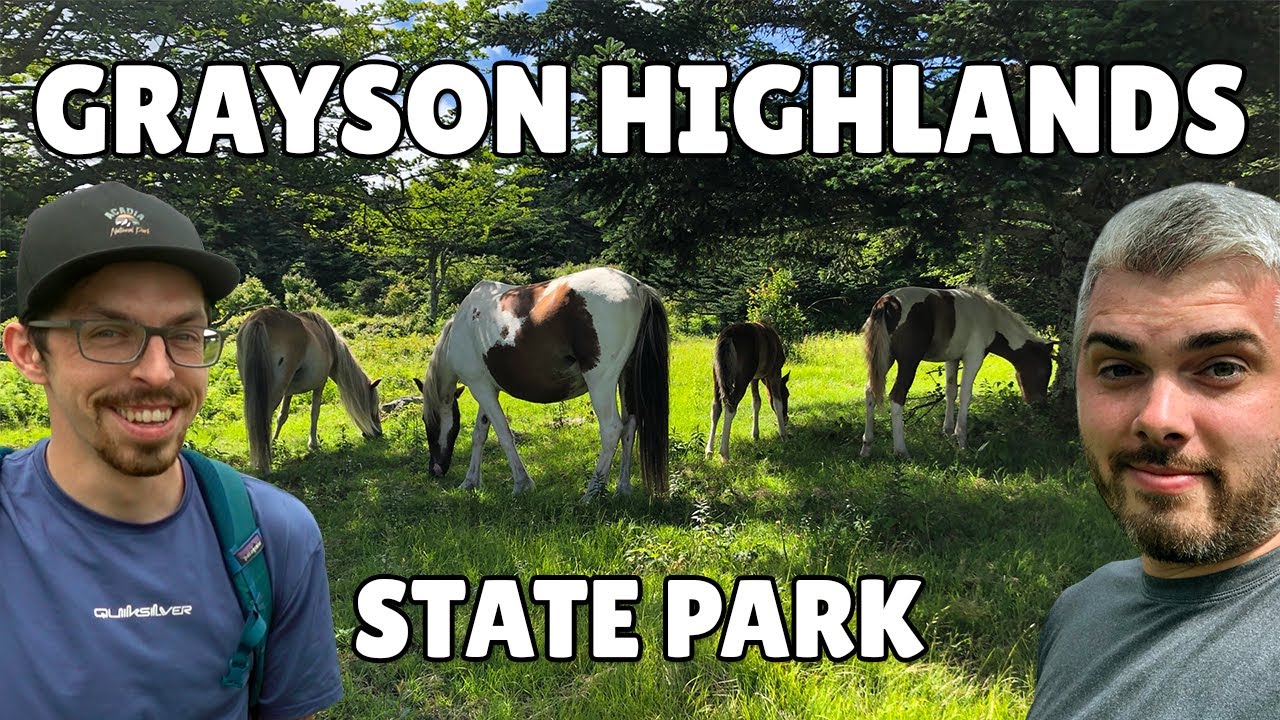 Wild Ponies at Grayson Highlands State Park!