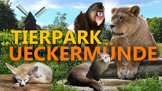Tierpark Ueckermünde | Zoo-Eindruck