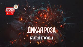 Дикая роза – Братья Егоровы / ПРЕМЬЕРА 2023!